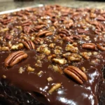Texas Chocolate Pecan Sheet Cake